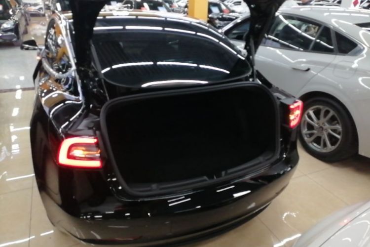 Tesla Model 3 2020 #19 Tesla Model 3 2020 car image #19