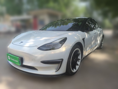 Tesla Model 3 2021 car image 