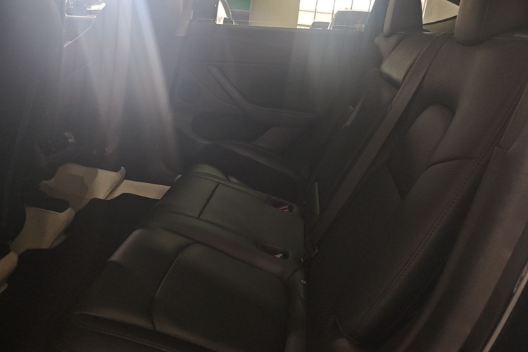 Tesla Model Y 2021 car image #17