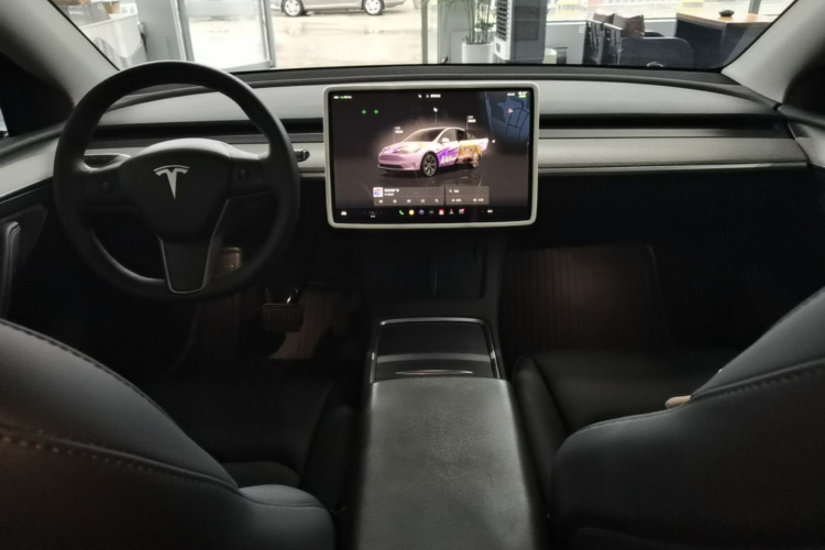 Tesla Model Y 2024 car image #10
