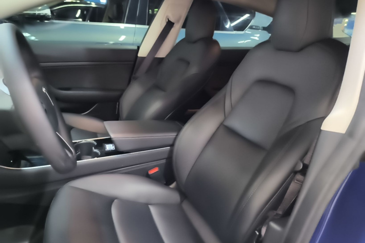 Tesla Model 3 2020 #15 Tesla Model 3 2020 car image #15