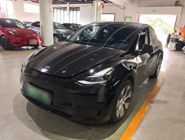 Tesla Model Y 2022 Tesla Model Y 2022 car image