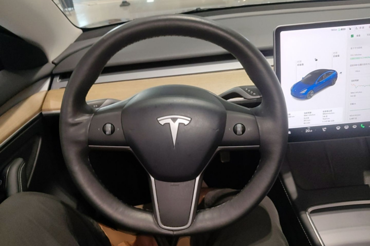 Tesla Model 3 2021 #11 Tesla Model 3 2021 car image #11