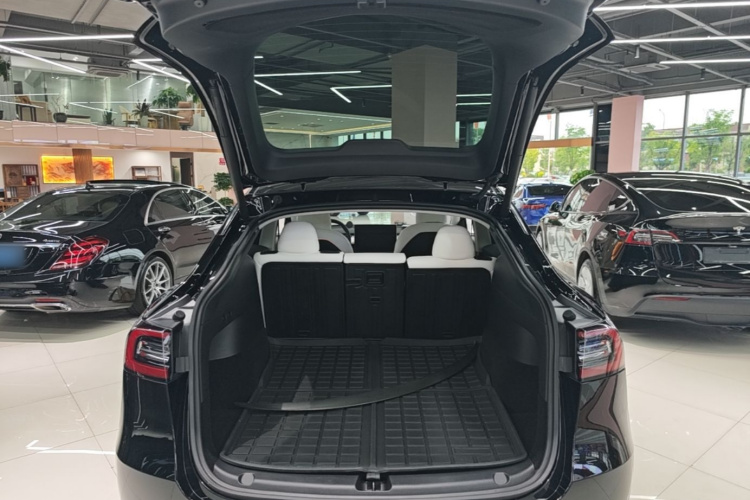 Tesla Model Y 2021 car image #19