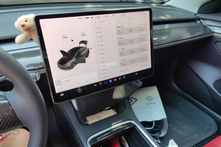 Tesla Model 3 2021 car image #15