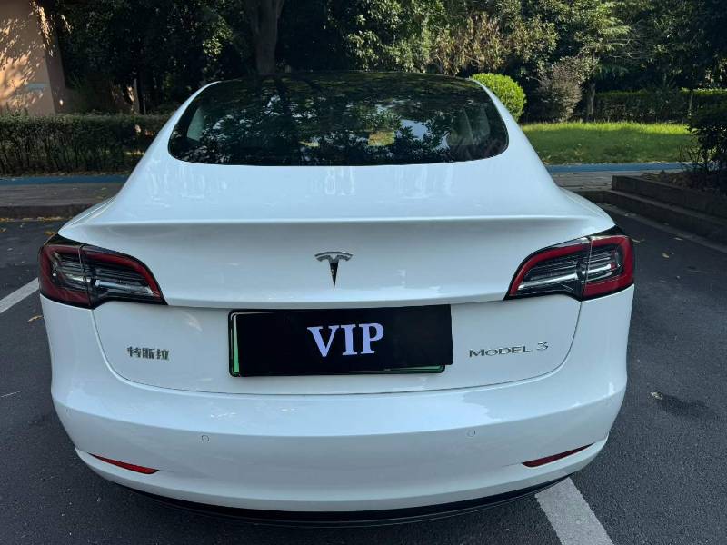 Tesla Model 3 2022 #3 Tesla Model 3 2022 car image #3