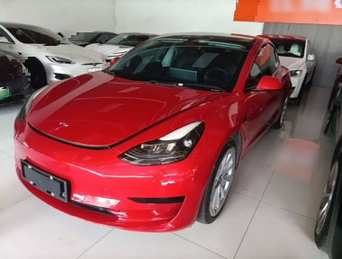 Tesla Model 3 2022 car image 