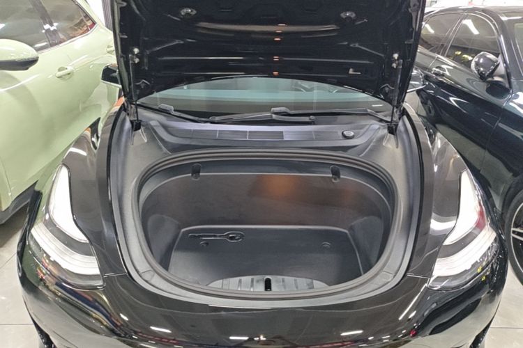 Tesla Model 3 2020 #20 Tesla Model 3 2020 car image #20