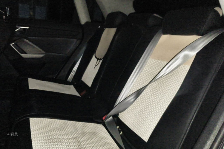 Audi Q3 2022 car image #19