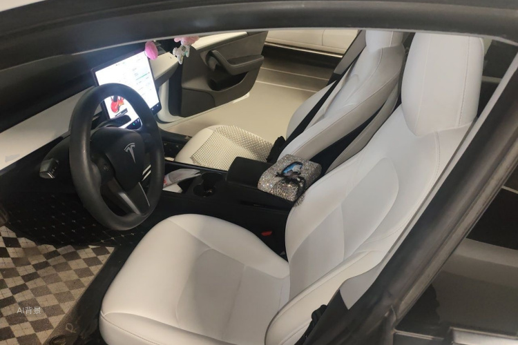 Tesla Model 3 2021 immagine di auto #17