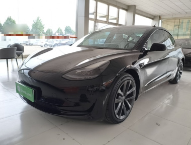 Tesla Model 3 2022 car image 