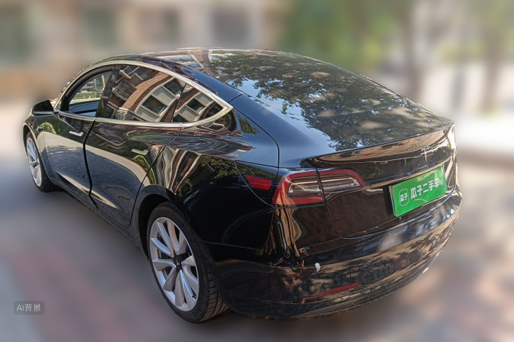 Tesla Model 3 2020 car image #5