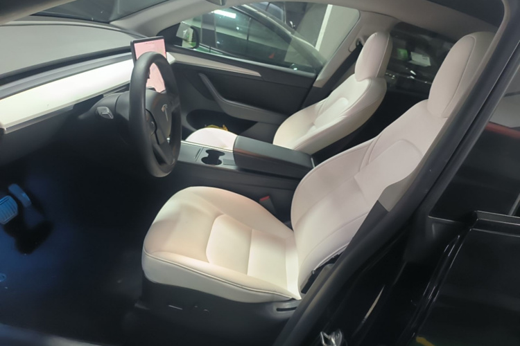 Tesla Model Y 2021 car image #15
