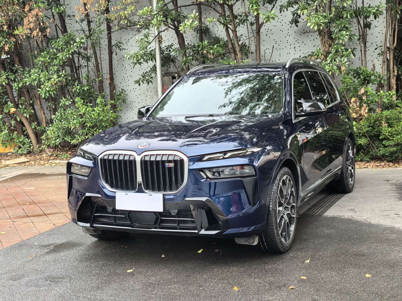 BMW X7 M60i 2023 car image 