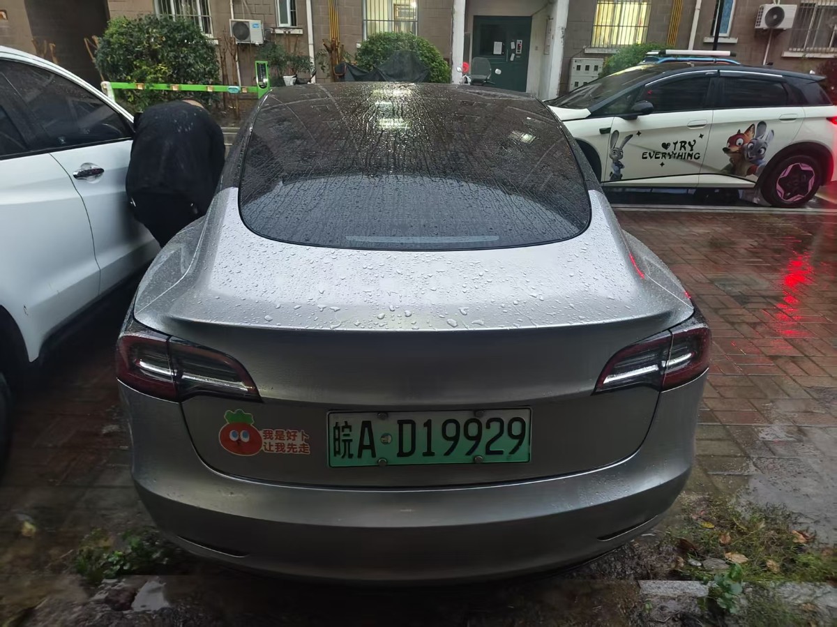Tesla Model 3 2021 car image #5