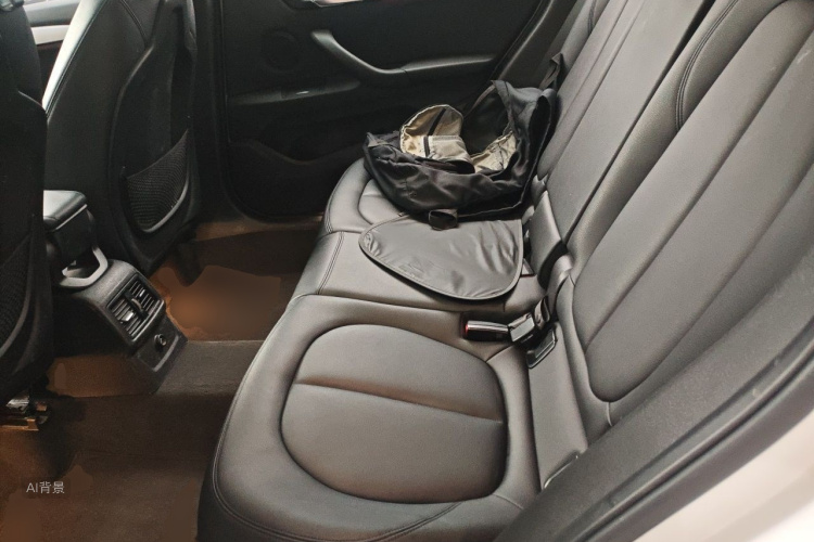 BMW X1 2017 car image #19