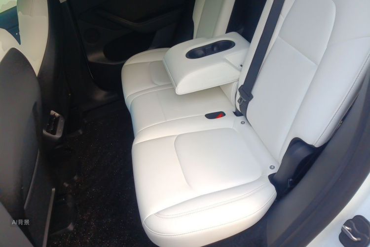 Tesla Model Y 2023 car image #19