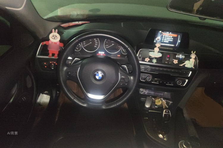 BMW 3 Series 2017 car image #12
