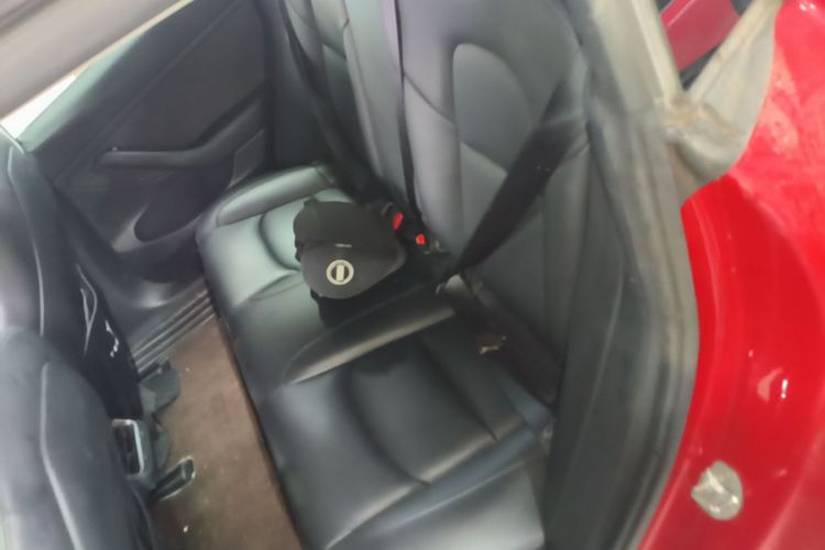 Tesla Model 3 2021 car image #17