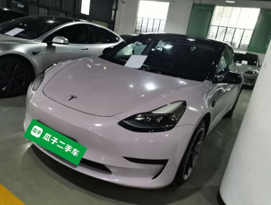 Tesla Model 3 2023 Tesla Model 3 2023 car image