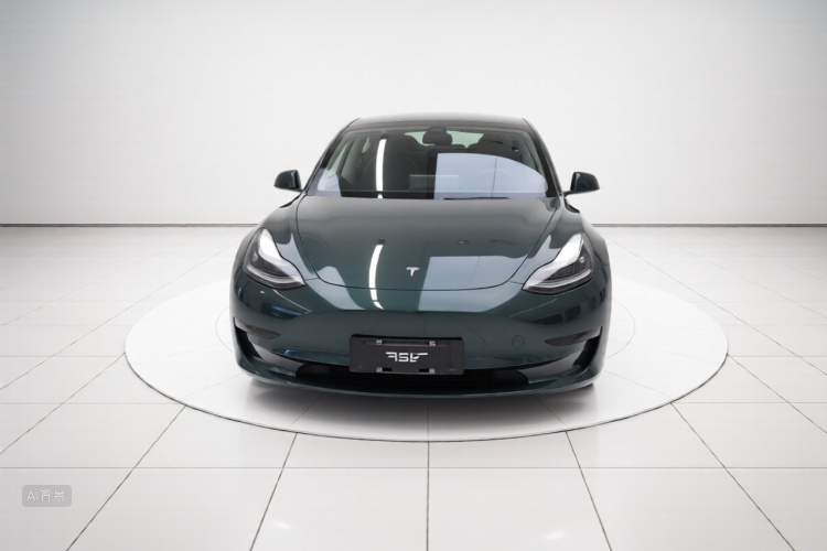 Tesla Model 3 2021 car image #3