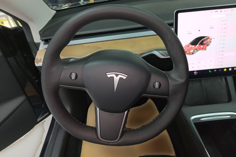 Tesla Model 3 2021 car image #17