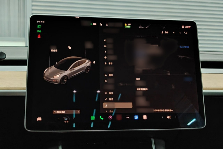 Tesla Model 3 2020 car image #11
