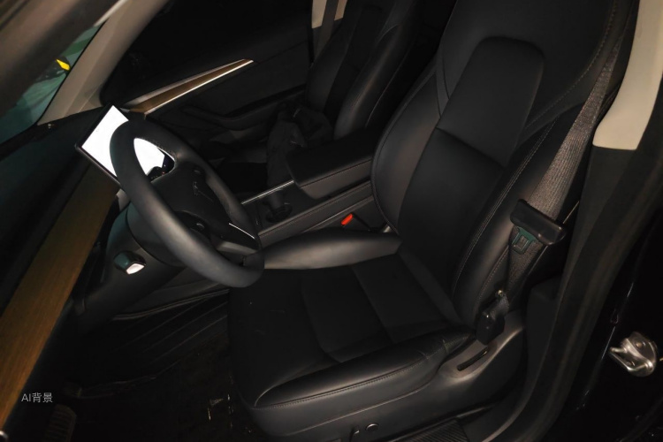 Tesla Model 3 2021 car image #17