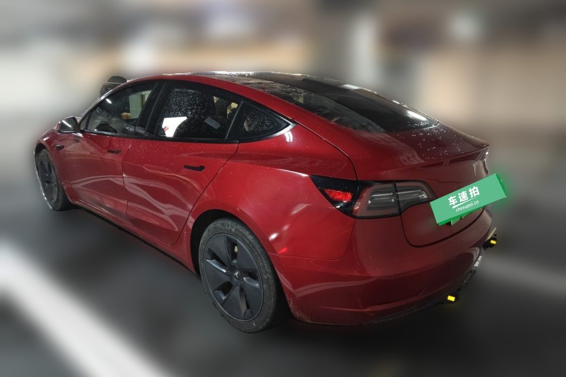 Tesla Model 3 2021 #3 Tesla Model 3 2021 car image #3
