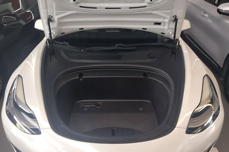 Tesla Model 3 2020 car image #20