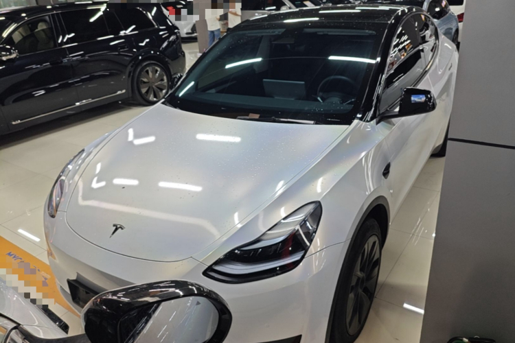 Tesla Model Y 2023 #2 Tesla Model Y 2023 car image #2