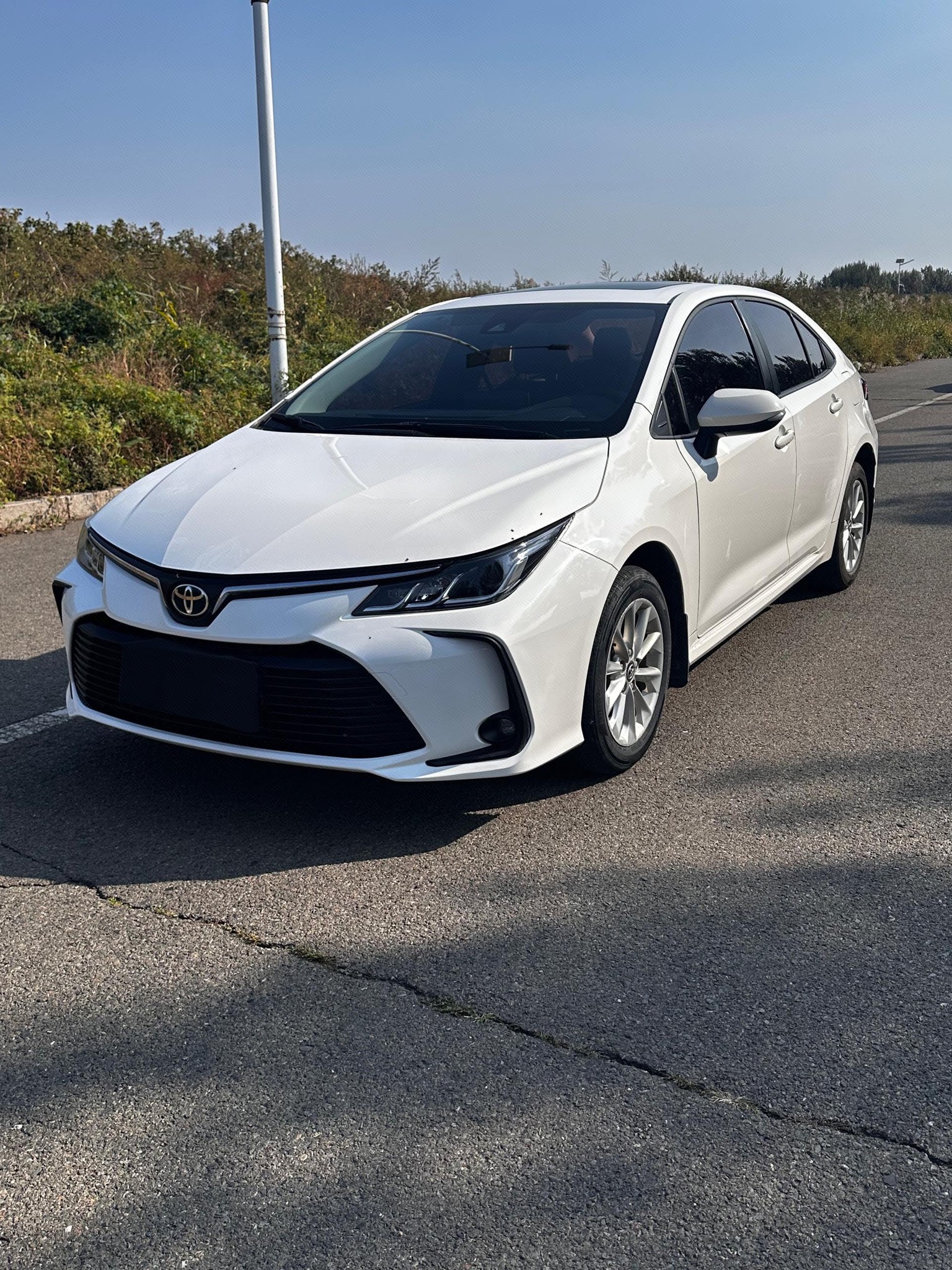 Toyota Corolla 2022 car image 