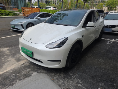 Tesla Model Y 2022 Tesla Model Y 2022 car image