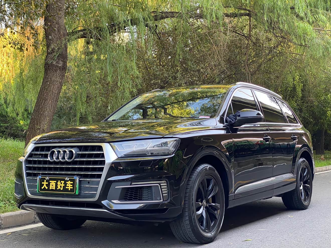 Audi Q7 New Energy 2019 car image 