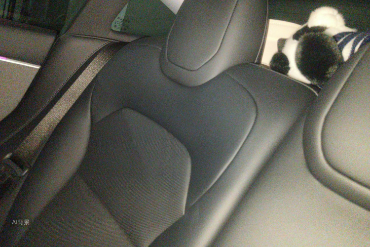 Tesla Model 3 2023 car image #19