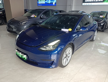 Tesla Model 3 2021 Tesla Model 3 2021 car image