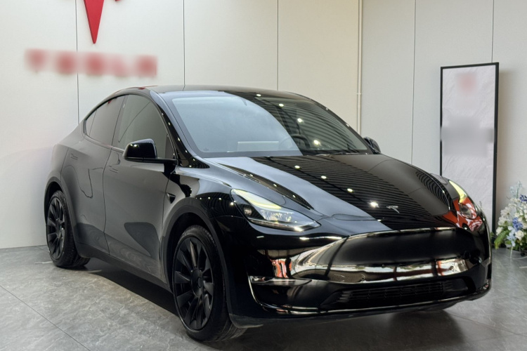 Tesla Model Y 2021 immagine di auto #4