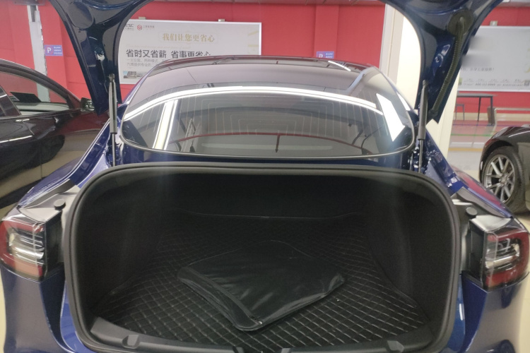 Tesla Model 3 2020 immagine di auto #19