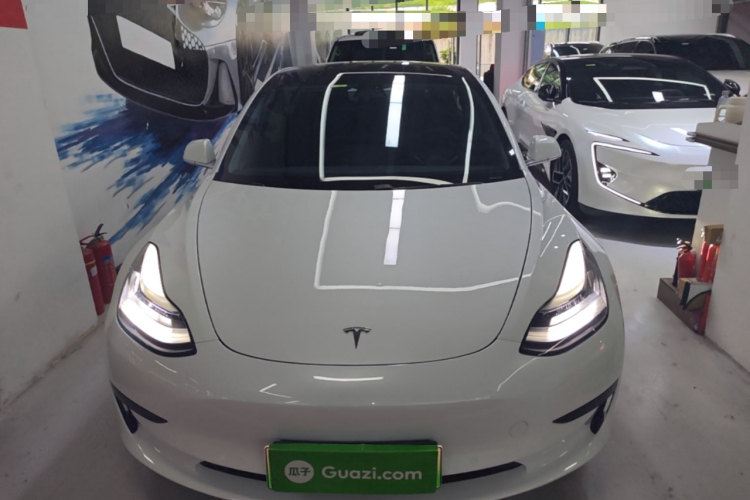 Tesla Model 3 2020 #3 Tesla Model 3 2020 car image #3