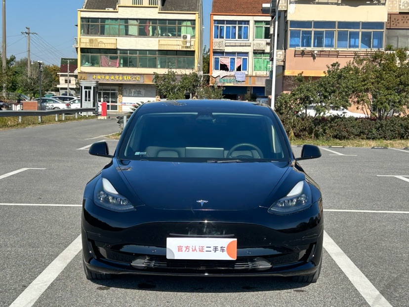 Tesla Model 3 2021 #2 Tesla Model 3 2021 car image #2