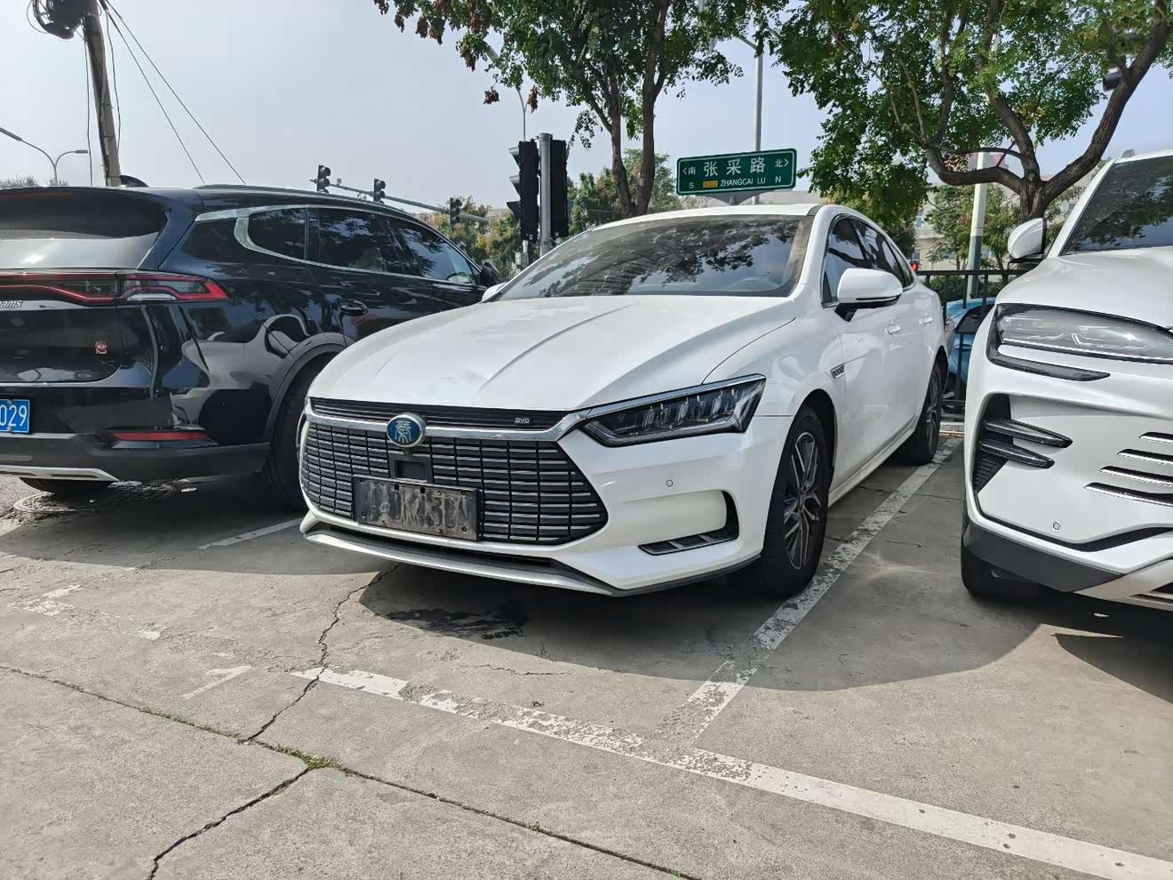 BYD Qin Pro New Energy 2019 car image 