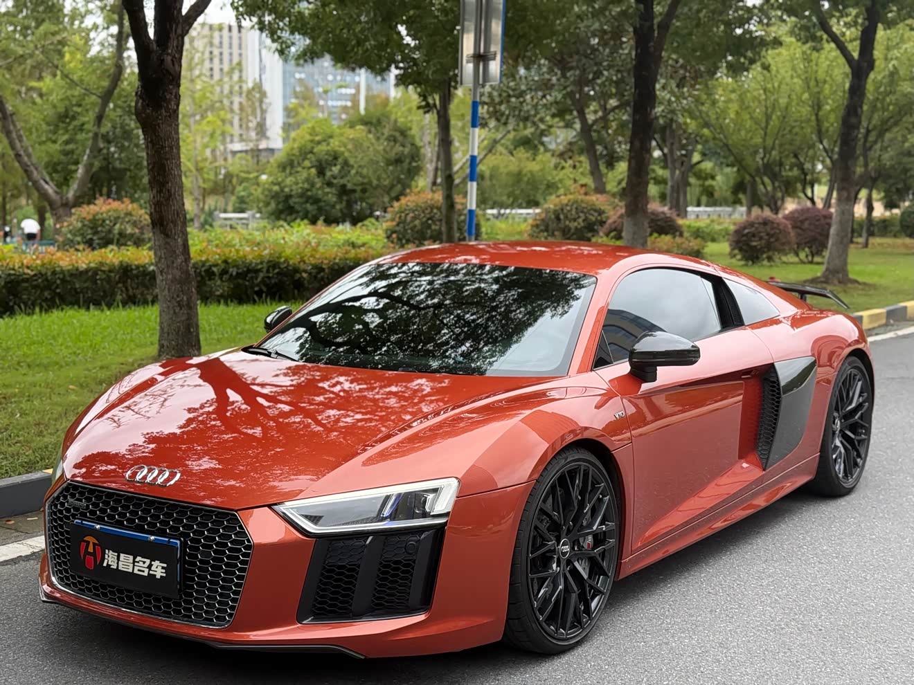 Audi R8 2016 car image 