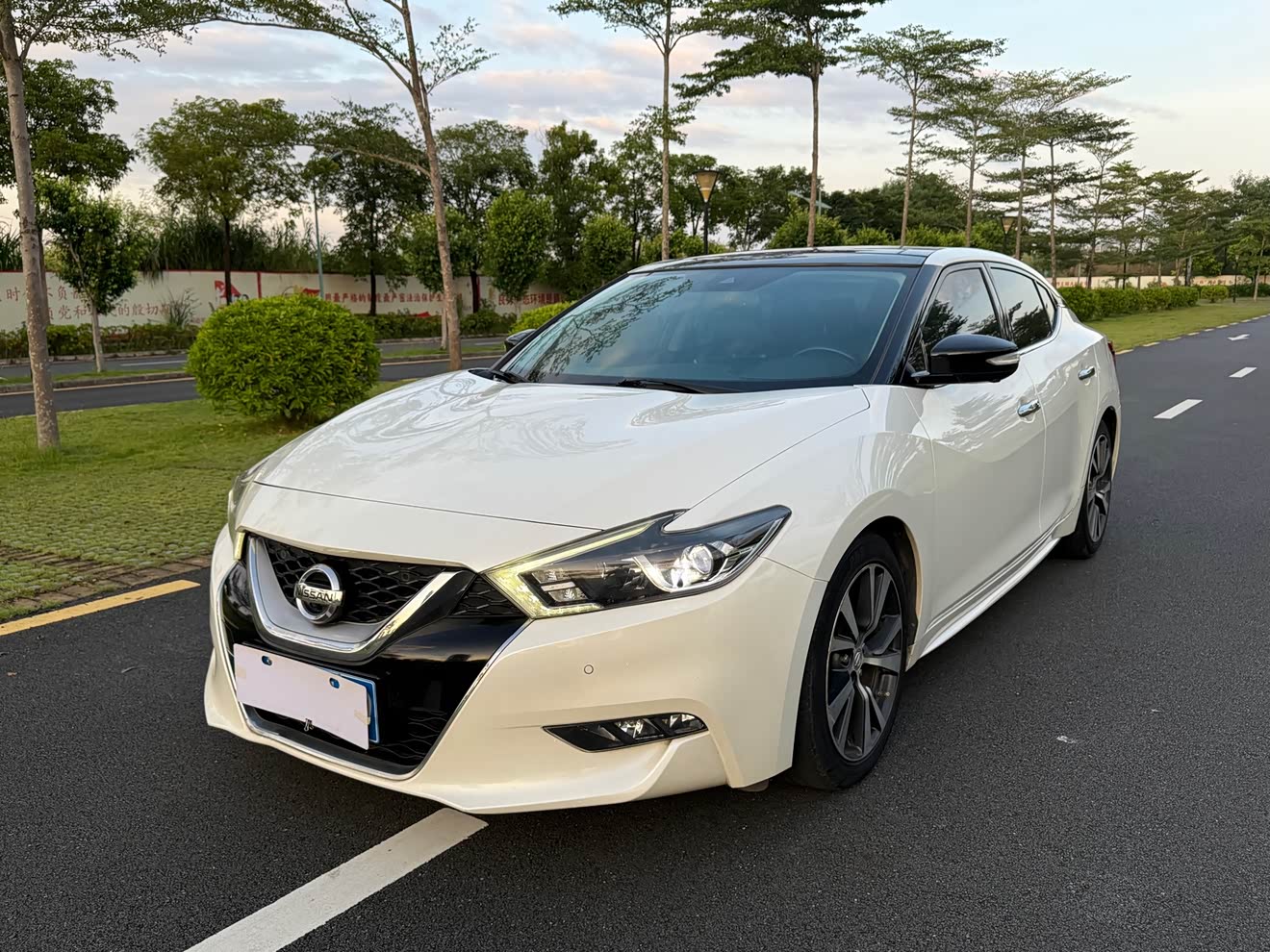Nissan Maxima 2018 汽车图片 