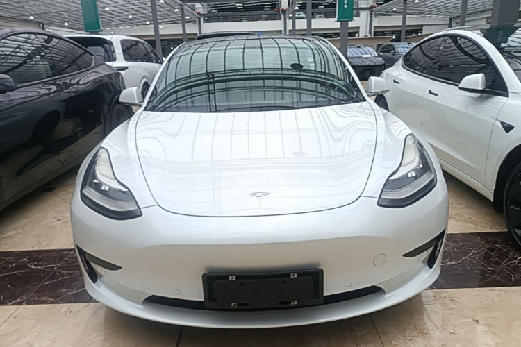 Tesla Model 3 2021 #3 Tesla Model 3 2021 car image #3