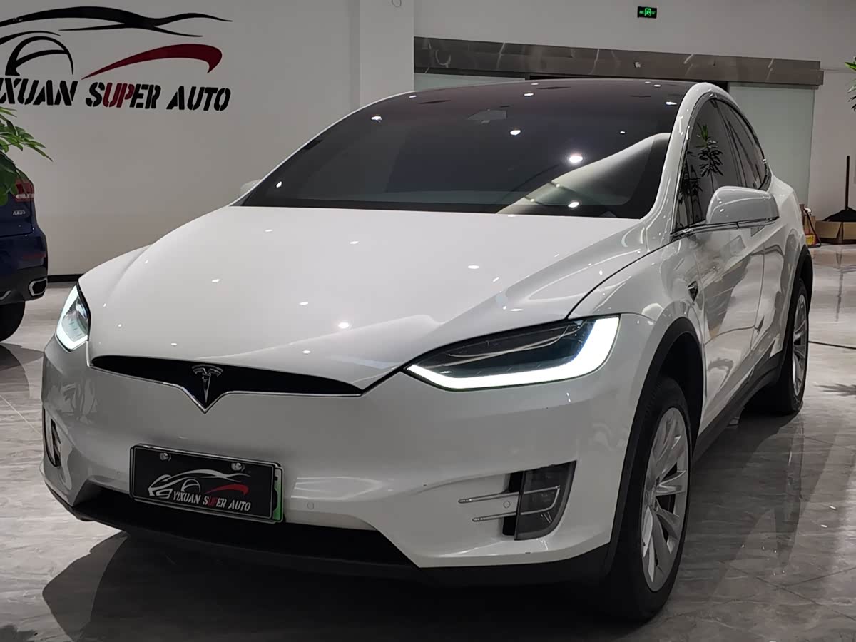 Tesla Model X 2020 汽车图片 