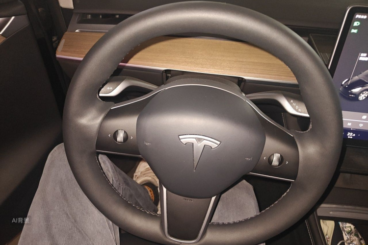 Tesla Model Y 2022 #12 Tesla Model Y 2022 car image #12