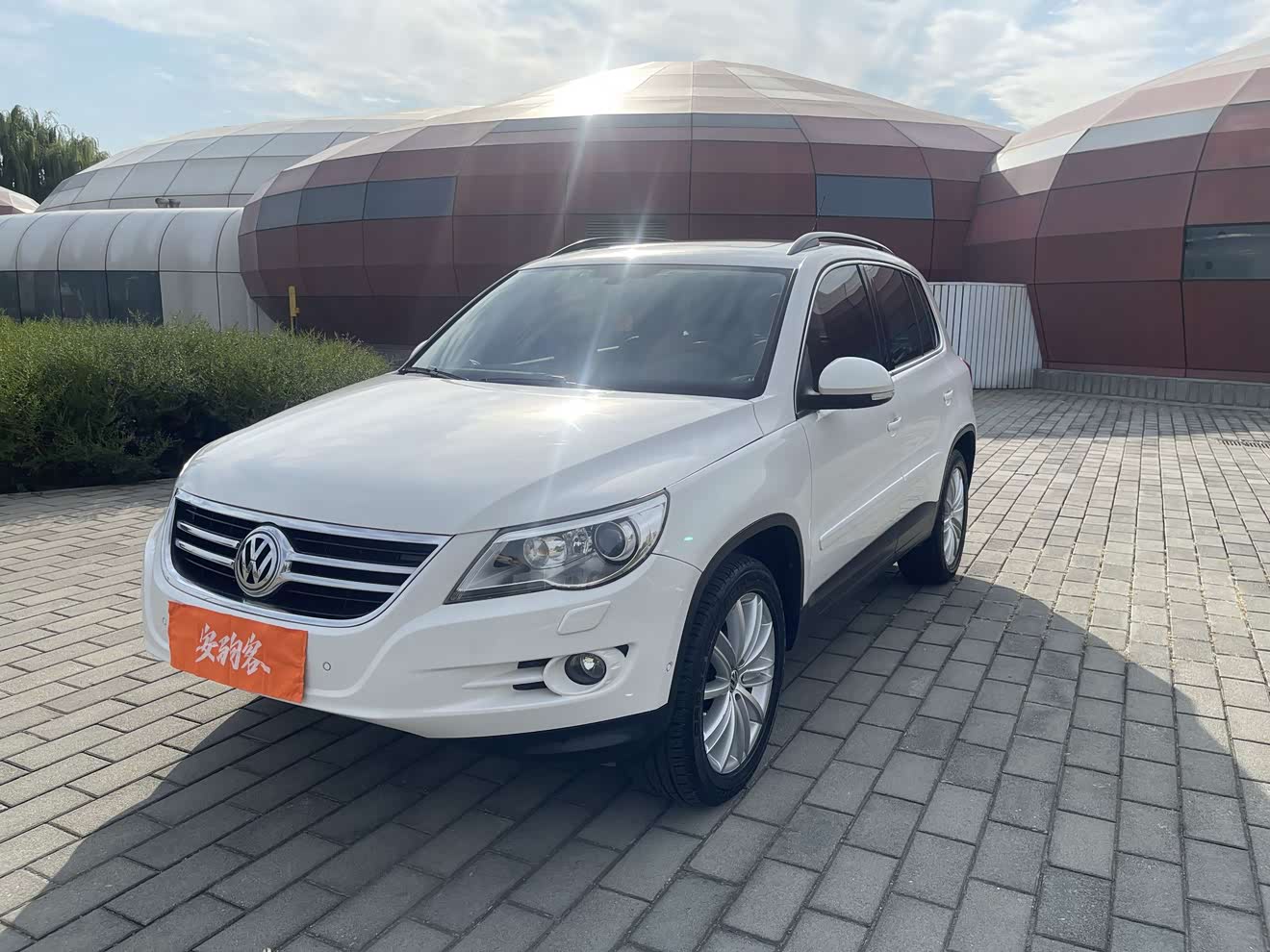 Volkswagen Tiguan 2009 汽车图片 
