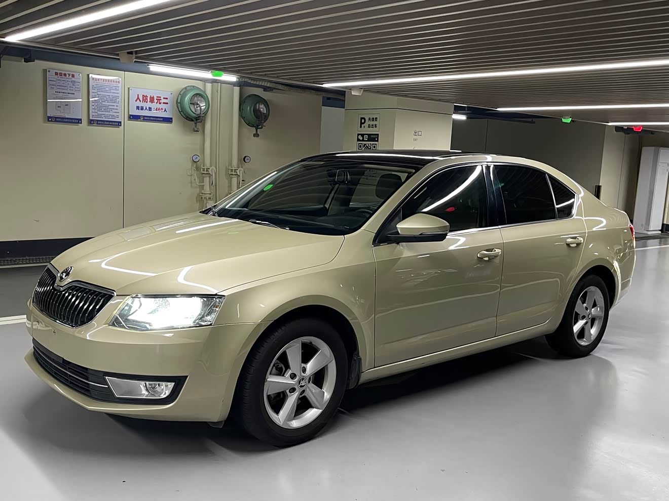 Skoda Octavia 2014 Skoda Octavia 2014 car image