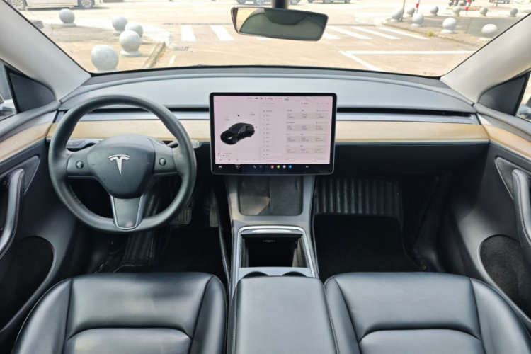 Tesla Model Y 2021 car image #11