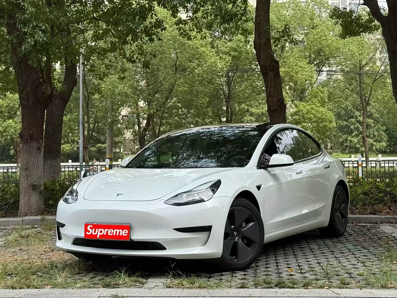 特斯拉 Model 3 2021 汽车图片 